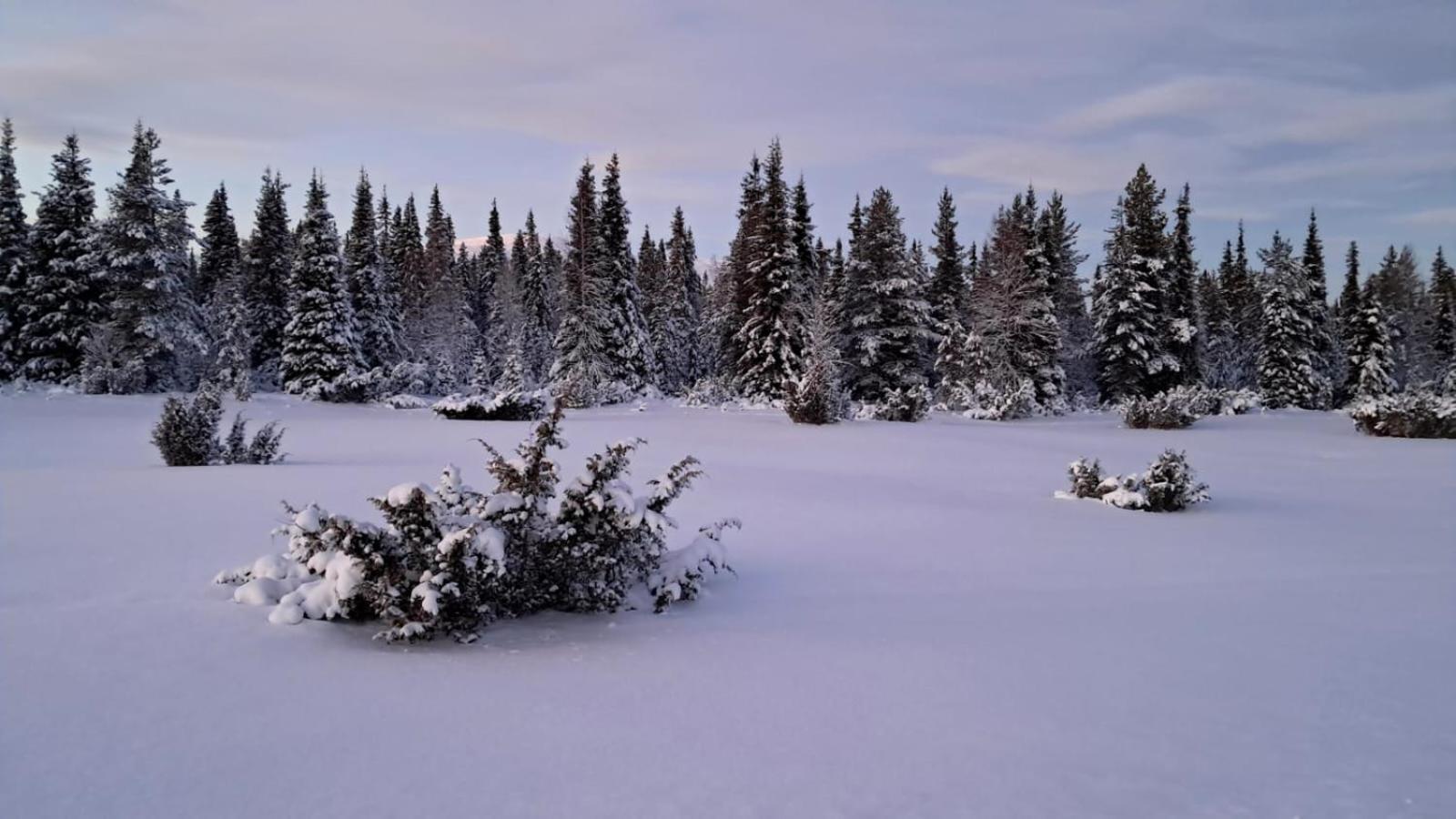 Villa Viihtyisae Moekki Riekkojen Mailla Hetassa Enontekiö Exterior foto
